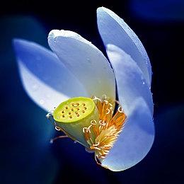 史低来袭！！！《底特律：化身为人》等多款游戏大促